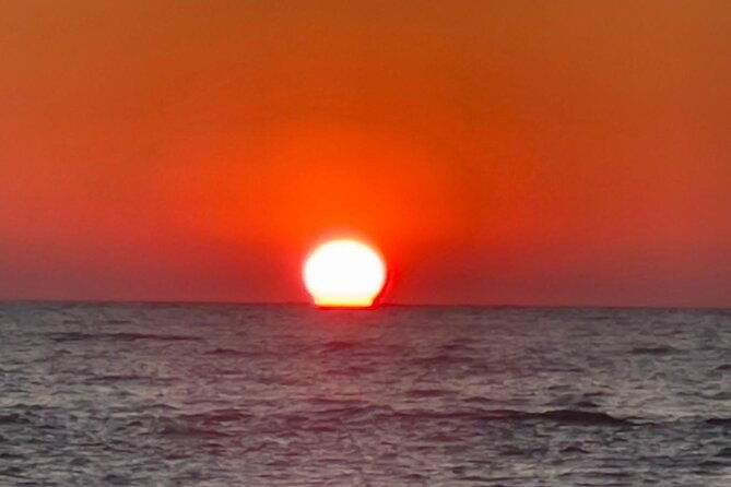 madeira-beach-shell-key-dolphins-half-day-private-boat-tour