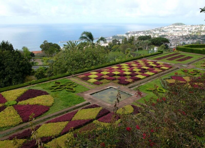madeira-botanical-garden-in-a-tuk-tuk-tour