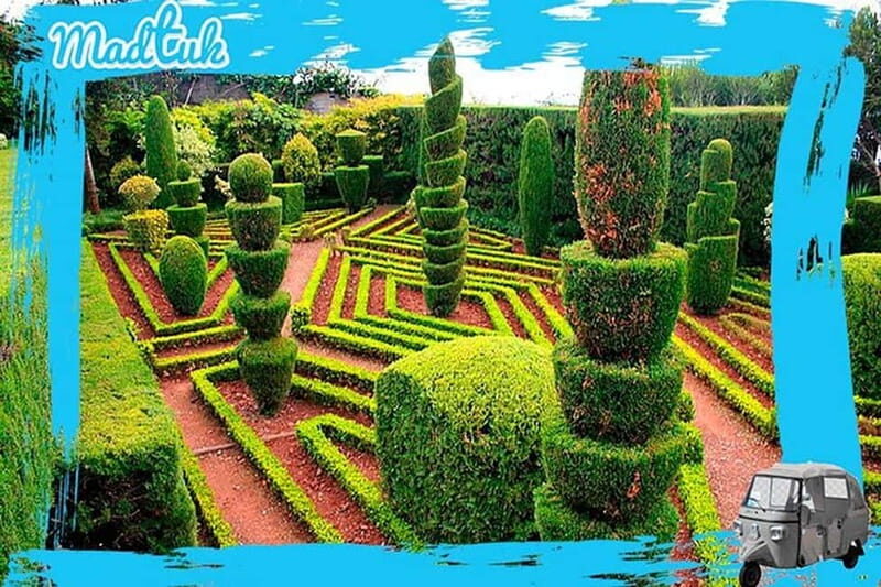 Madeira: Botanical Gardens + Old Town Tuk-Tuk Tour by MadTuk - Why Choose the Madeira Botanical Gardens + Old Town Tuk-Tuk Tour?