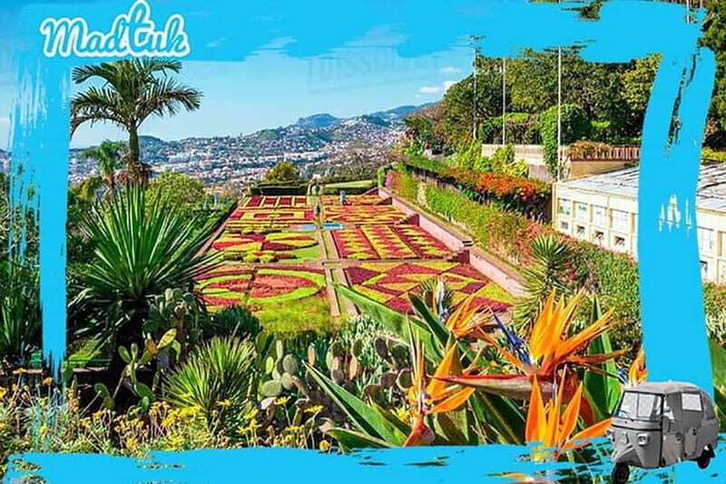 Madeira: Botanical Gardens + Old Town Tuk-Tuk Tour by MadTuk - The Experience of the Tuk-Tuk Ride