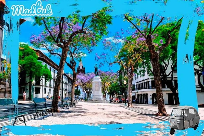 Madeira: Botanical Gardens + Old Town Tuk-Tuk Tour by MadTuk - Logistics and Practical Aspects