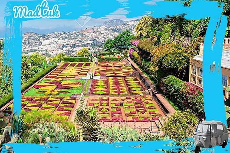 Madeira: Botanical Gardens + Old Town Tuk-Tuk Tour by MadTuk - Authentic Feedback and Tips