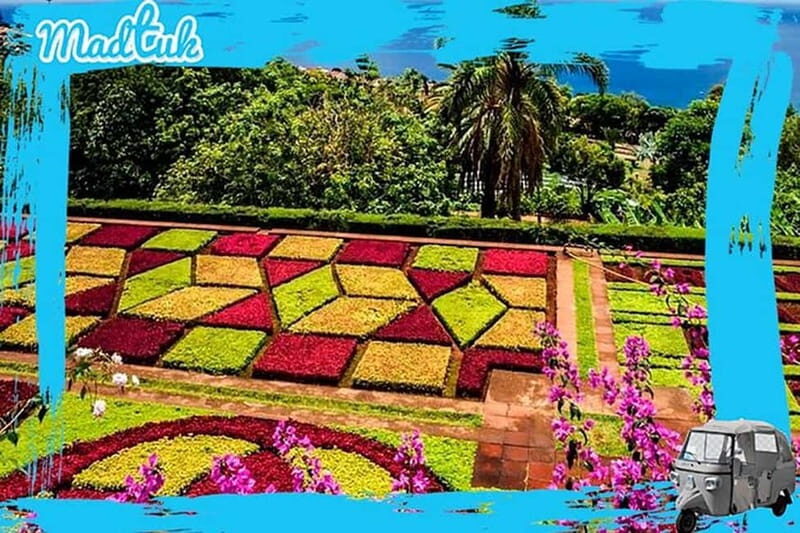 Madeira: Botanical Gardens + Old Town Tuk-Tuk Tour by MadTuk - Final Thoughts