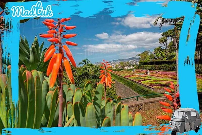 Madeira: Botanical Gardens + Old Town Tuk-Tuk Tour by MadTuk - FAQs