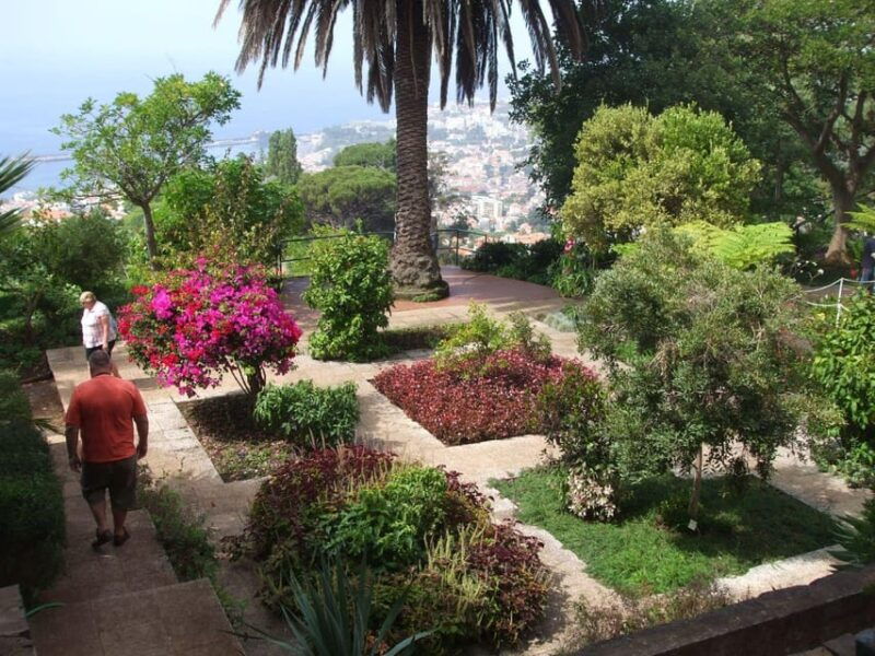 madeira-botanical-monte-palace-and-palheiro-gardens
