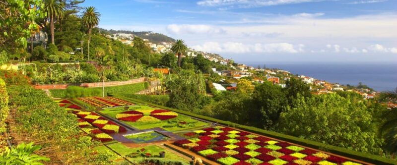 madeira-botanical-monte-palace-and-palheiro-gardens