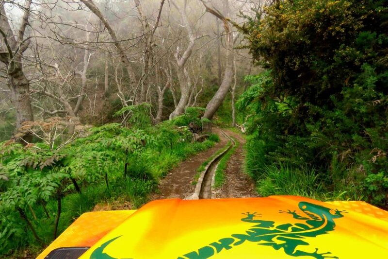 madeira-cabo-girao-and-camara-de-lobo-4wd-half-day-tour