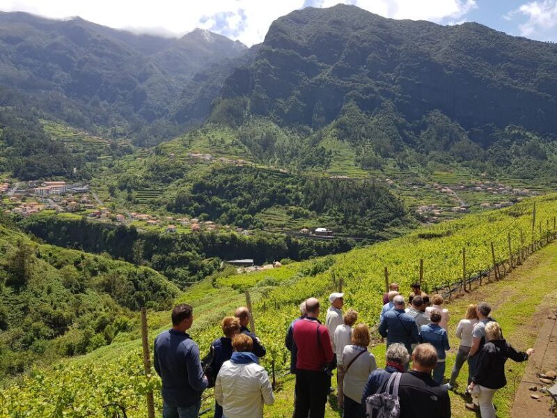 Madeira: Cabo Girão, Wines Experience and Dolphins Watching - FAQs