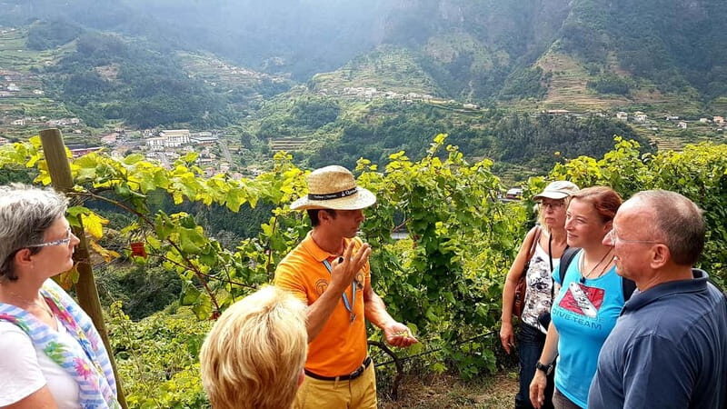 Madeira: Cabo Girão, Wines Experience and Dolphins Watching - Final Thoughts