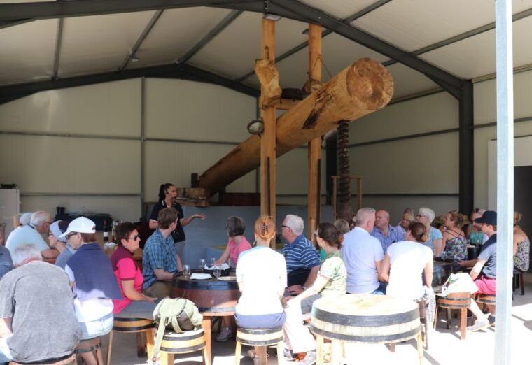 madeira-cabo-girao-wines-experience-and-dolphins-watching