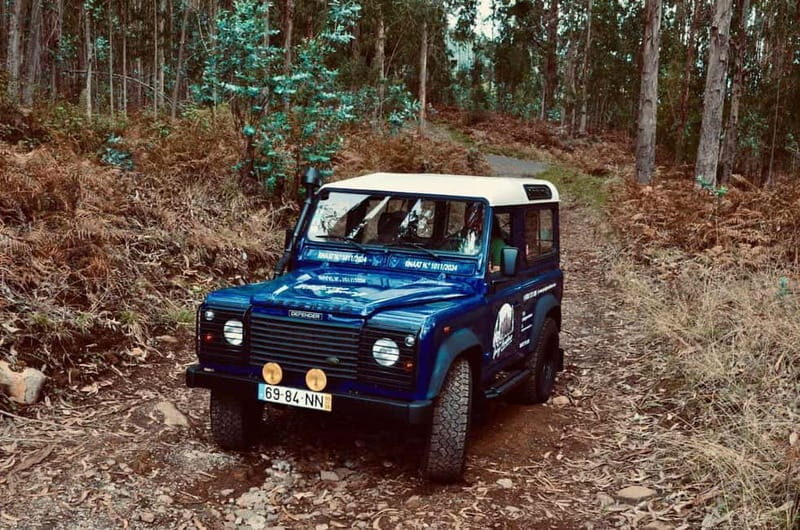 Madeira: Câmara de Lobos and Cabo Girão:Unforgettable adventure 4*4:duration3,5h - Exploring Madeiras Charm: What to Expect from This 4x4 Tour