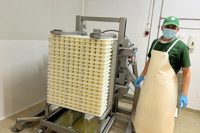 madeira-cheese-tasting-and-tea-tour