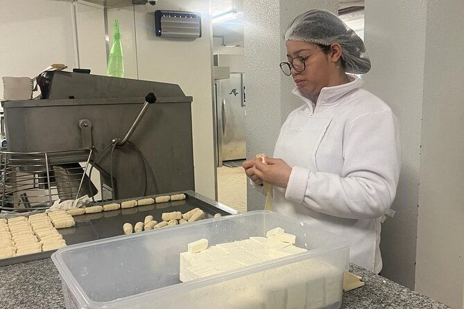 madeira-cheese-tasting-and-tea-tour