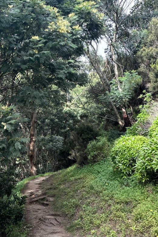 madeira-cliff-hanger-vereda-larano-hike-machico