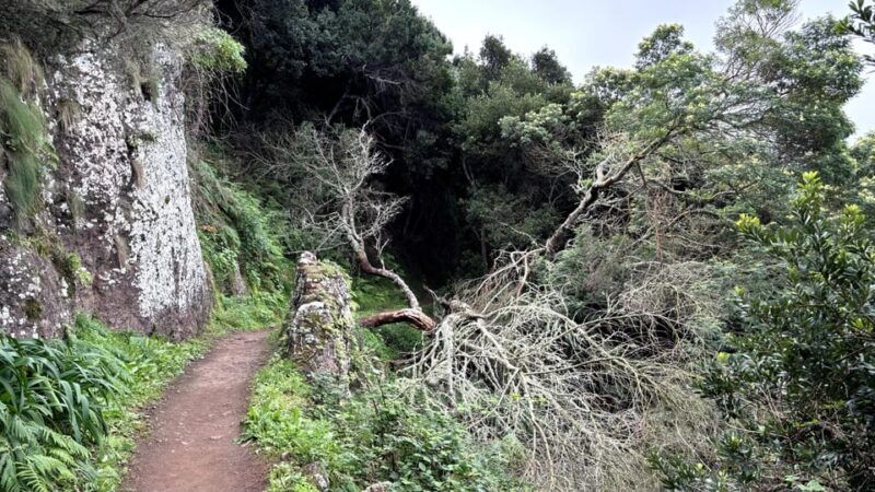 madeira-cliff-hanger-vereda-larano-hike-machico