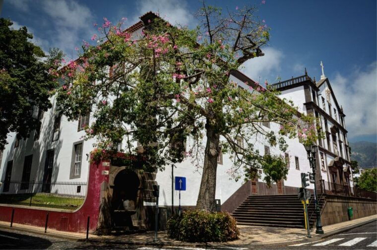 madeira-customized-3-4-or-6-hour-tour