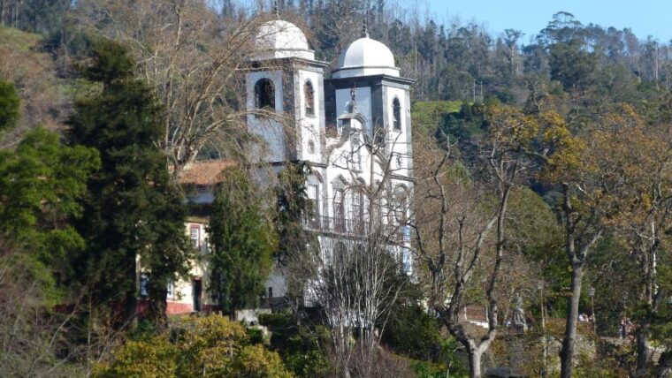 madeira-customized-3-4-or-6-hour-tour