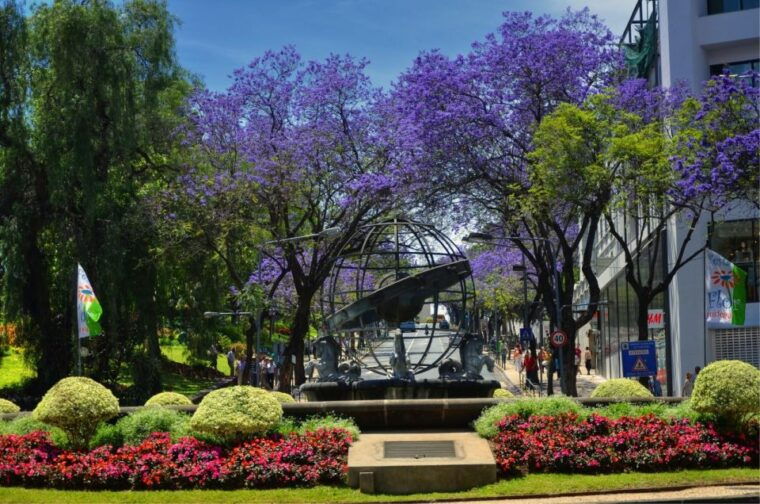 madeira-customized-3-4-or-6-hour-tour