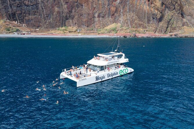 madeira-dolphin-and-whale-watching-on-a-ecological-catamaran