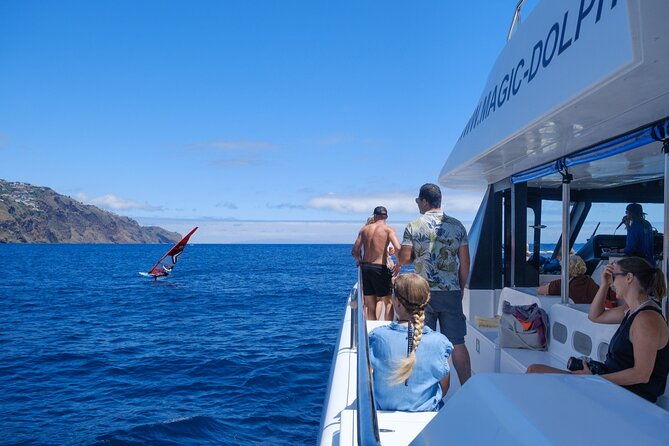 madeira-dolphin-and-whale-watching-on-a-ecological-catamaran
