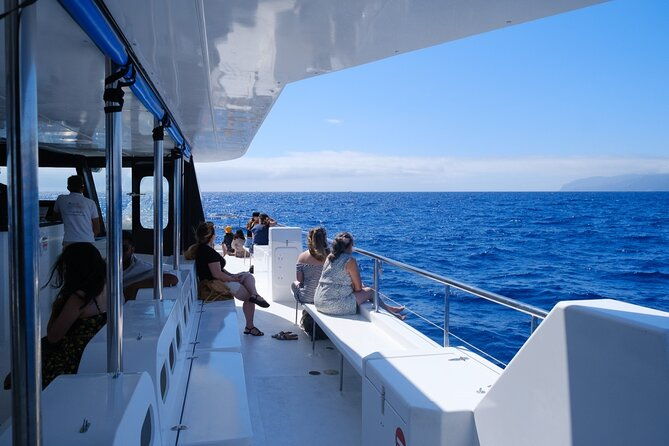 madeira-dolphin-and-whale-watching-on-a-ecological-catamaran
