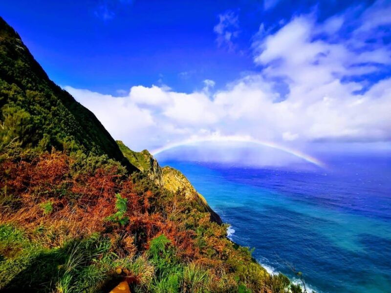 madeira-e-buggy-adventure-4x4-thrill-epic-views-book-now