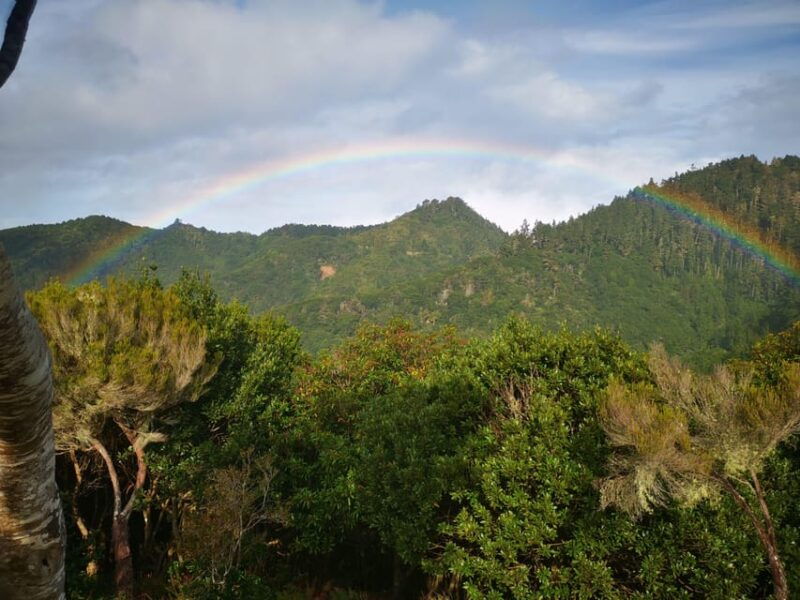 madeira-e-buggy-adventure-4x4-thrill-epic-views-book-now