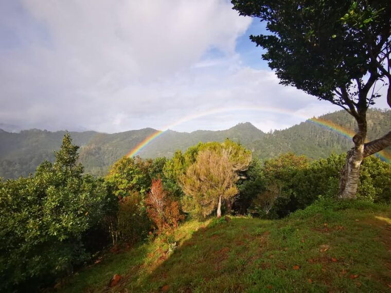 madeira-e-buggy-adventure-4x4-thrill-epic-views-book-now