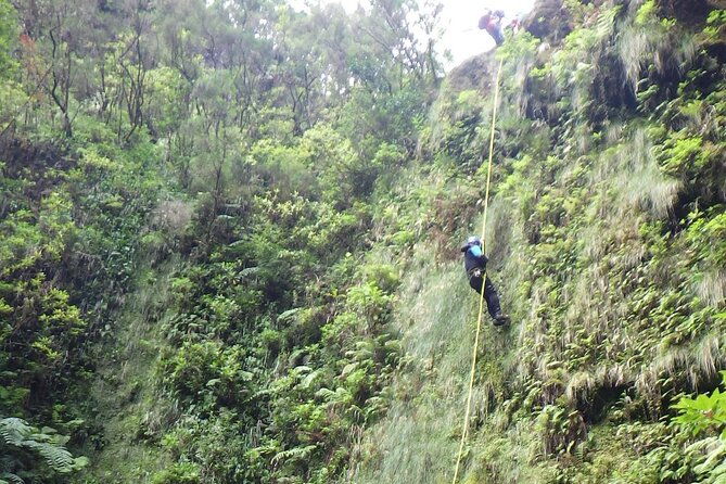 madeira-east-island-special-levada-walking-tour-with-meal-and-drinks