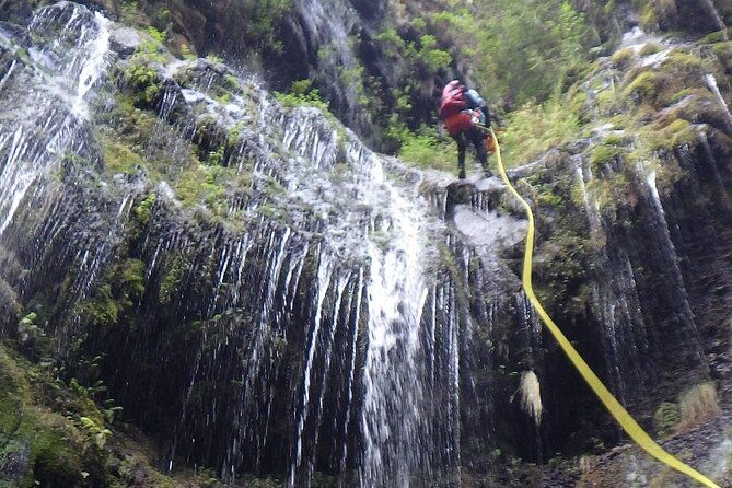 madeira-east-island-special-levada-walking-tour-with-meal-and-drinks