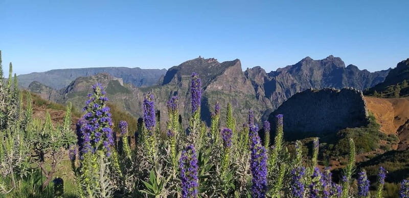 Madeira East Island Tour and Levada Walk - Detailed Review: Exploring Madeiras East Side