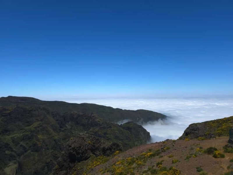 Madeira: East Island Tour with Rum Tasting - Authenticity and Local Flavor