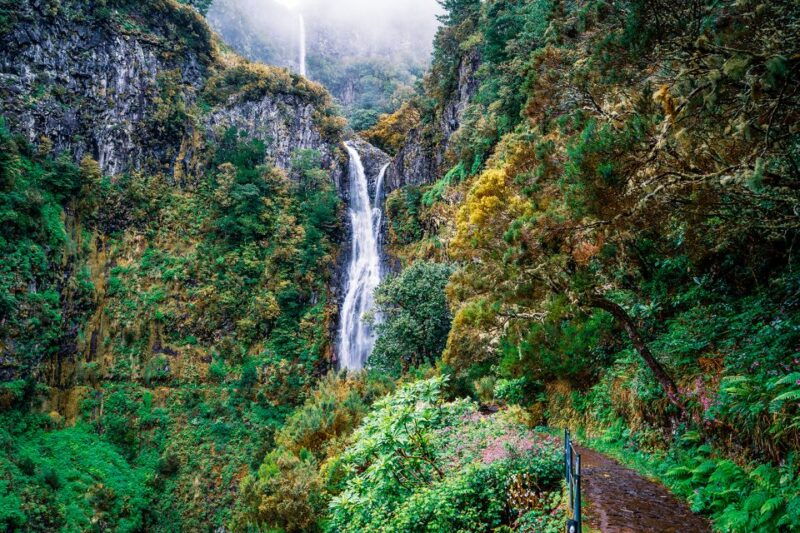 madeira-enjoy-a-guided-levada-walk-in-the-rabacal-valley