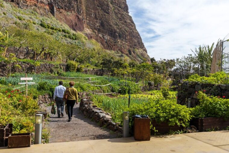 madeira-faja-dos-padres-private-sightseeing-tour