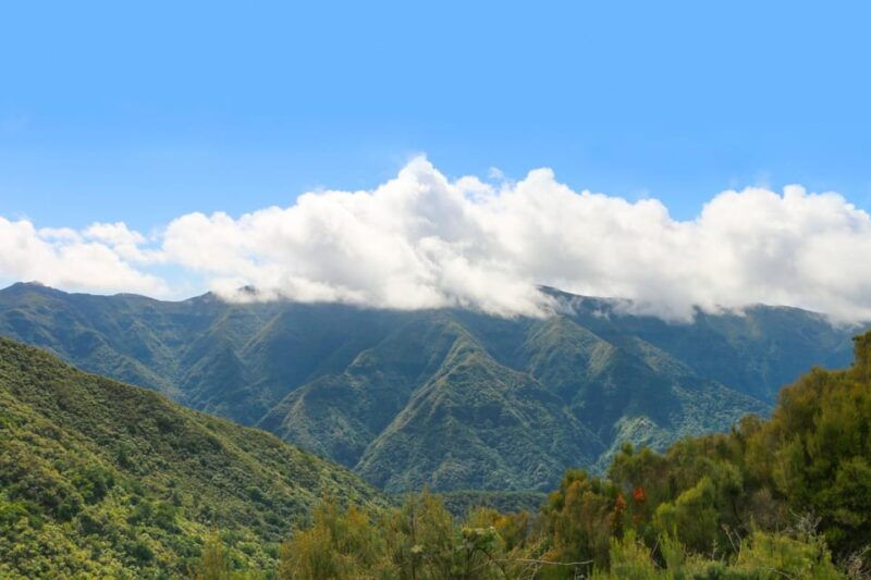 madeira-fanal-and-seixal-beach-guided-tour