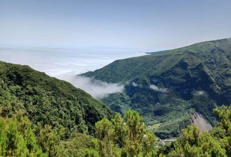 Madeira: Fanal Forest Walk & Meal - Practical Details and Tips