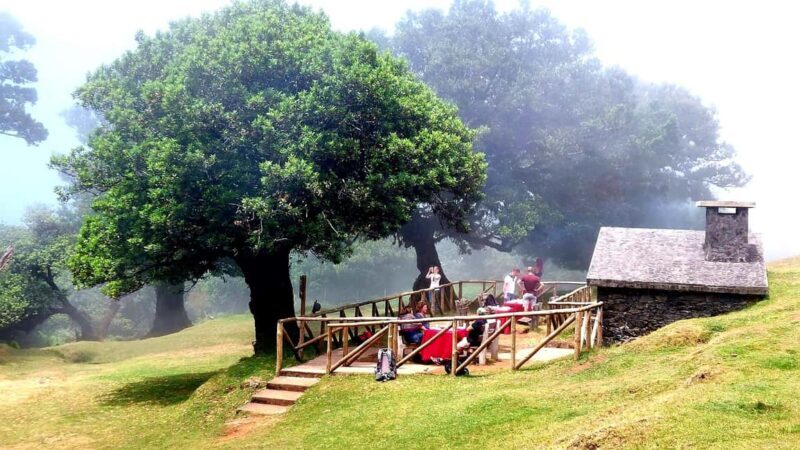 Madeira: Fanal Forest Walk & Meal - The Sum Up