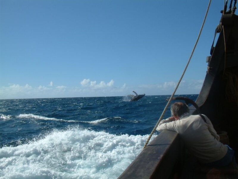 madeira-flag-ship-tour-aboard-santa-maria-de-colombo