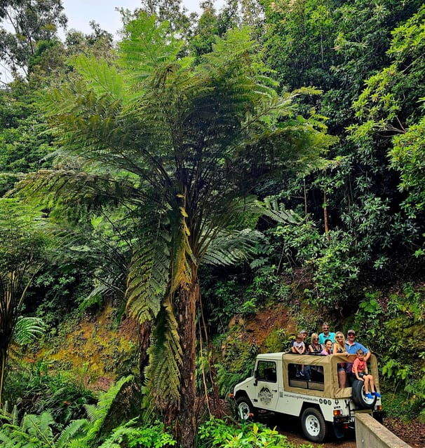 madeira-full-day-private-tour-max-6-people