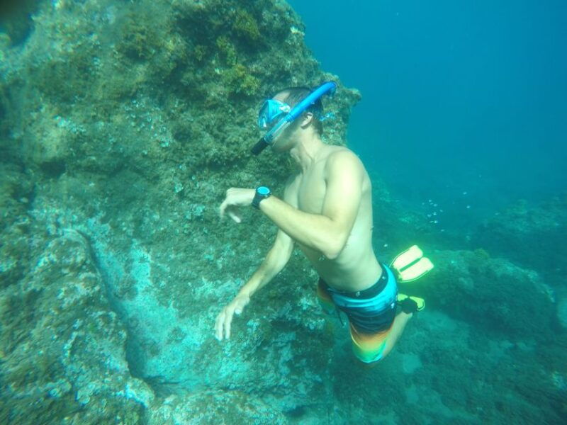 madeira-garajau-nature-reserve-kayak-and-snorkel-tour