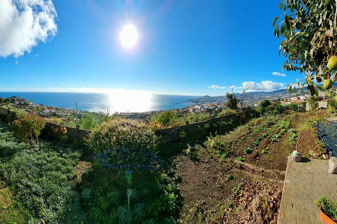 madeira-genuine-food-experience-at-re-canto