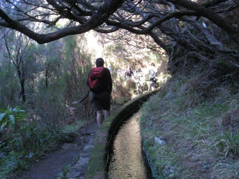 madeira-guided-full-day-rabacal-walk