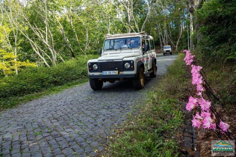 madeira-half-day-nuns-valley-and-sea-cliff-tour