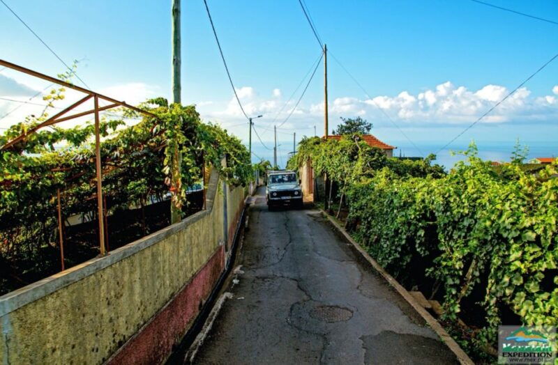 madeira-half-day-nuns-valley-and-sea-cliff-tour