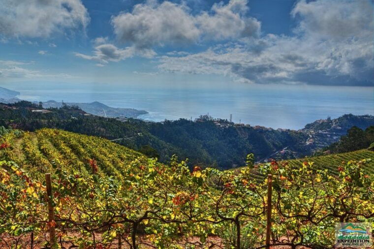 madeira-half-day-nuns-valley-and-sea-cliff-tour