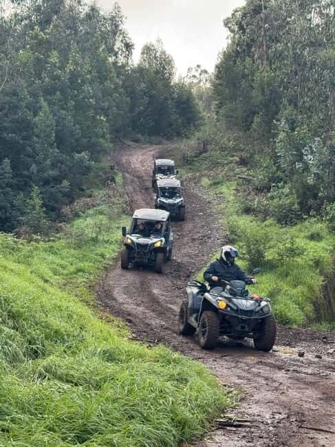 Madeira: Half-Day Off-Road Buggy Tour - Highlights That Make This Tour Special