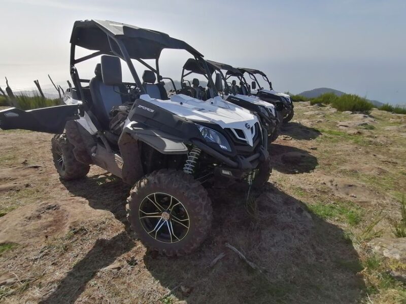 Madeira: Half-Day Off-Road Buggy Tour - The Experience Itself: What to Expect