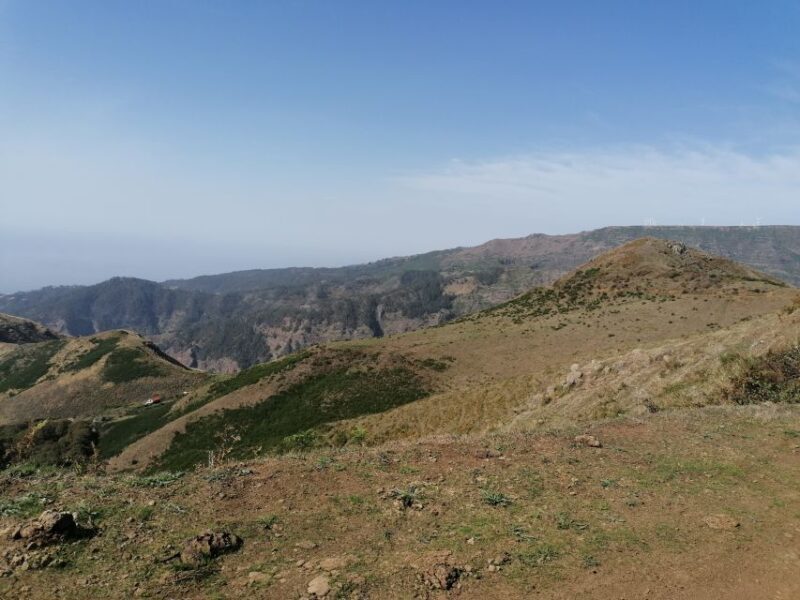 Madeira: Half-Day Off-Road Buggy Tour - Is It Worth the Price?