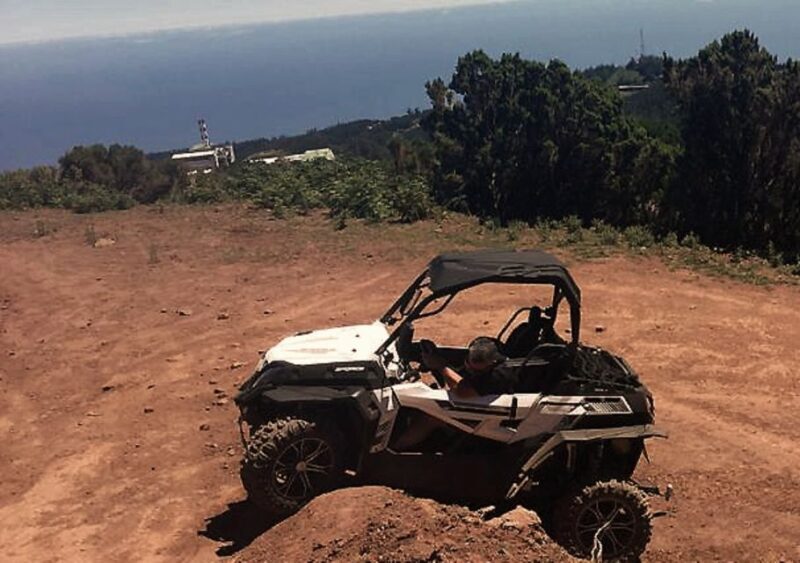 Madeira: Half-Day Off-Road Buggy Tour - Who Should Consider This Tour?