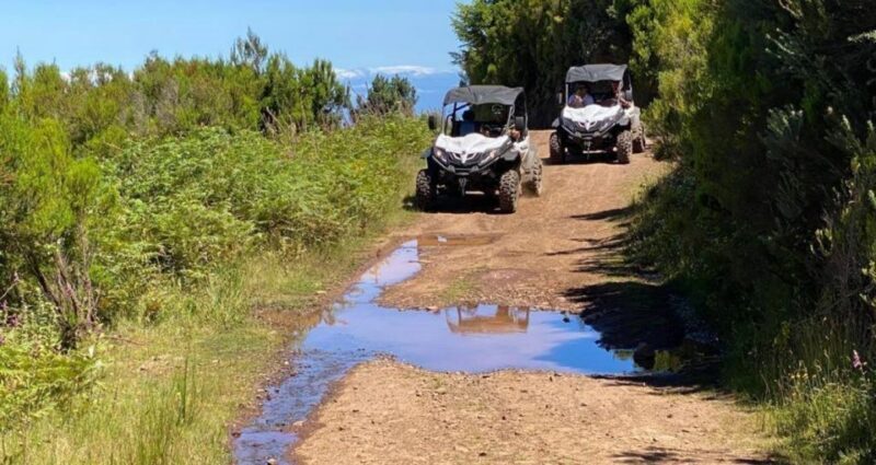 Madeira: Half-Day Off-Road Buggy Tour - Final Thoughts